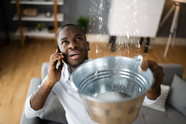 Best Water damage restoration services  in Riverdale Park, MD