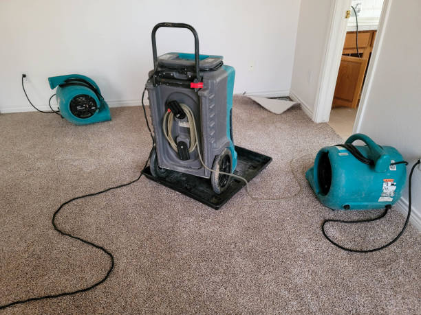  Riverdale Park, MD Water damage restoration Pros