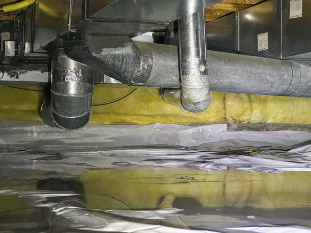 Best Sewage cleanup and water damage restoration  in Riverdale Park, MD