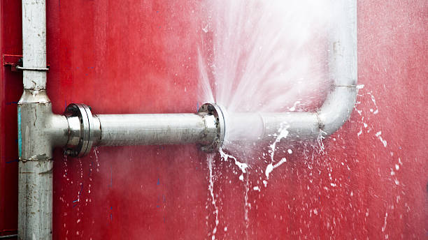 Best Water damage cleanup near me  in Riverdale Park, MD